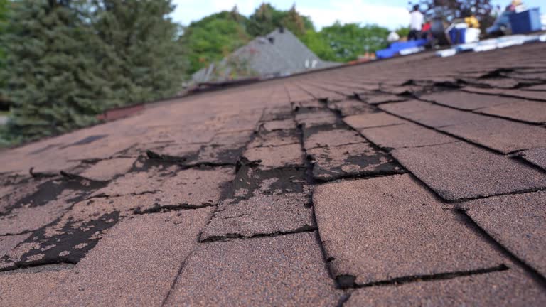 Best Gutter Installation and Repair  in Detroit Beach, MI
