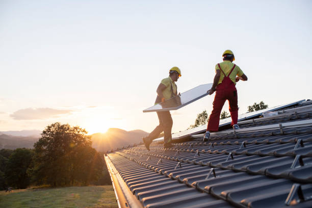 Best Roof Installation  in Detroit Beach, MI