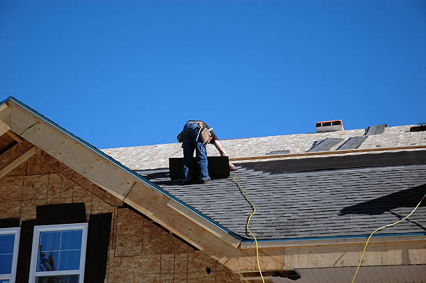 Best Flat Roofing  in Detroit Beach, MI