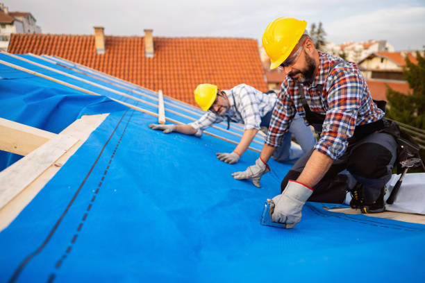 Gutter Replacement in Detroit Beach, MI