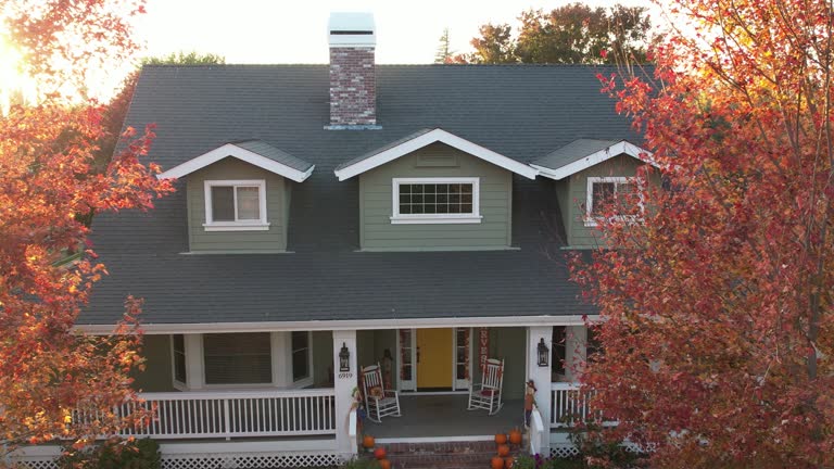 Fast & Reliable Emergency Roof Repairs in Detroit Beach, MI
