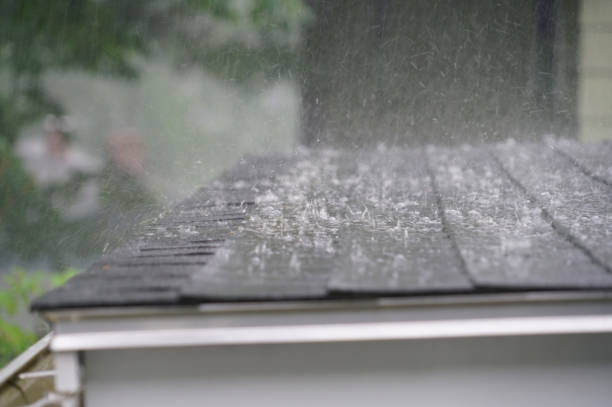 Best Storm Damage Roof Repair  in Detroit Beach, MI