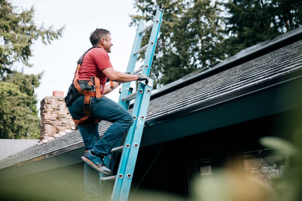 Best Asphalt Shingles Roofing  in Detroit Beach, MI