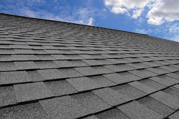 Best Solar Panel Roofing Installation  in Detroit Beach, MI