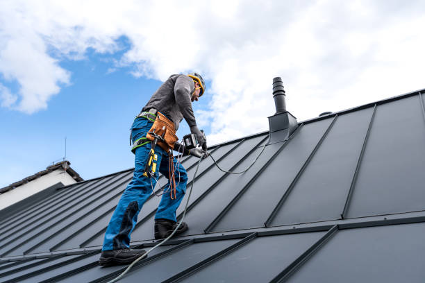 Best Roof Leak Repair  in Detroit Beach, MI